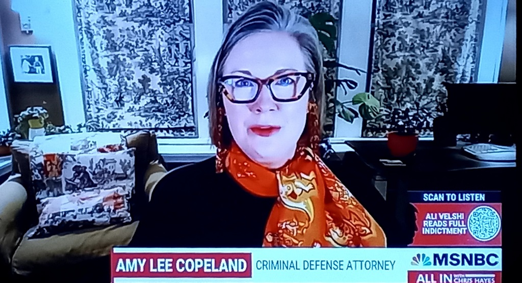 Amy Lee Copeland Lawyer