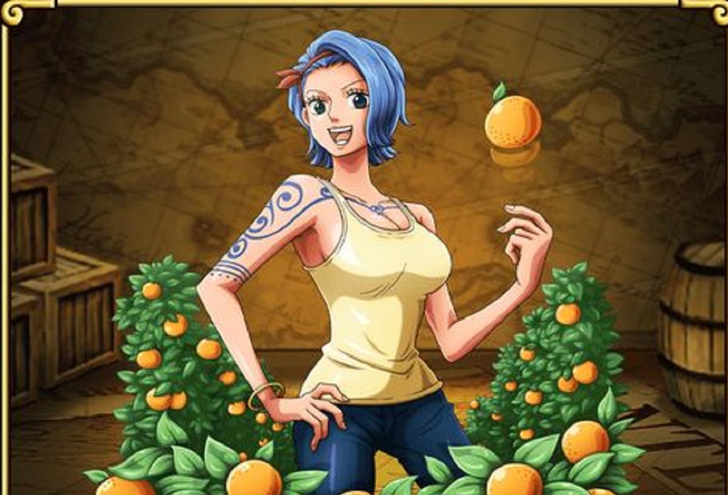 One Piece Nami Sister Name Nojiko