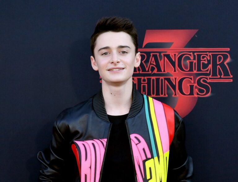 Noah Schnapp Arrested rumors