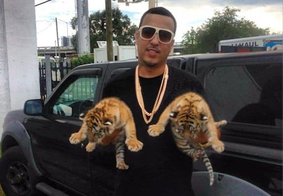 French-Montana-cubs-Source-Google