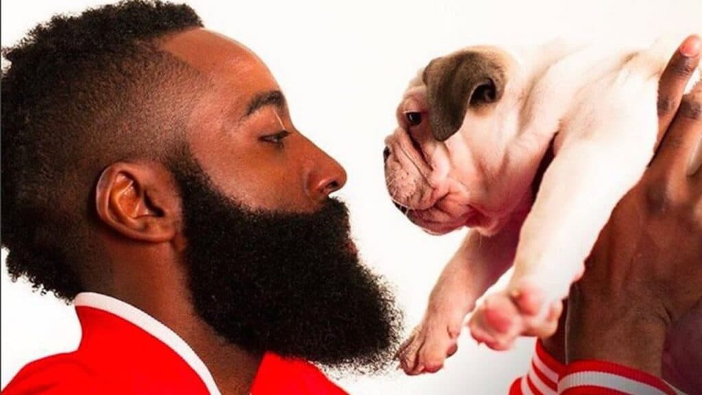 James Harden with his pet dog.