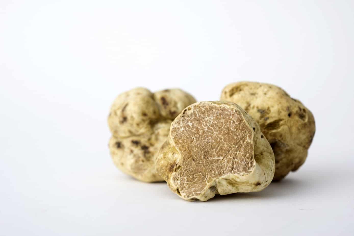 White-truffle-pic