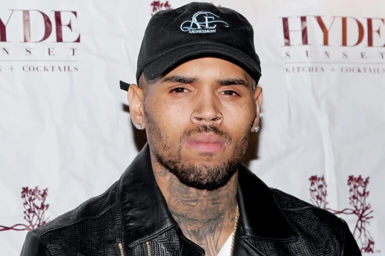 Chris Brown Net Worth & Lifestyle