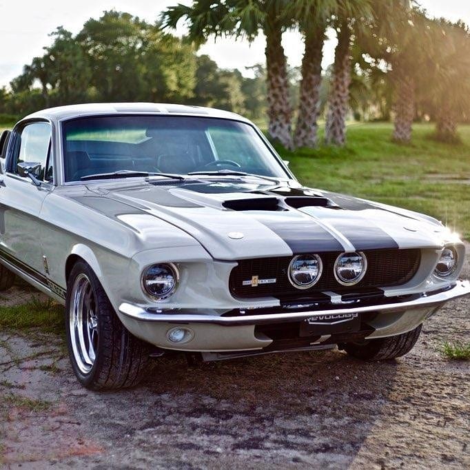 Shelby-GT500