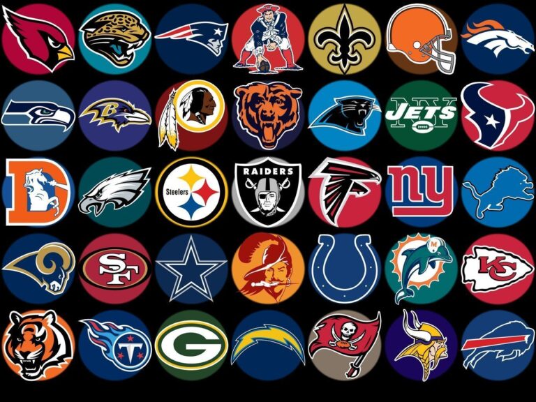 10 Teams with the Most NFL Fans