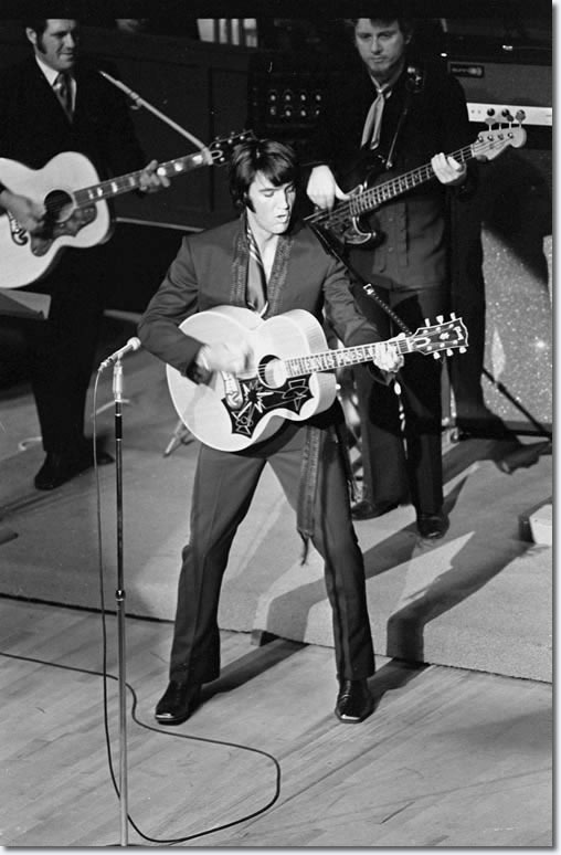 Elvis Live Performance