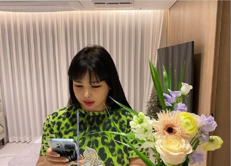 Park Bom Plastic Surgery, Before And After Pics Age