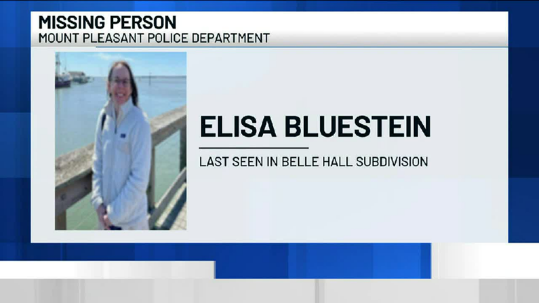 South Carolina: Elisa Bluestein Missing Case Update Age And Family