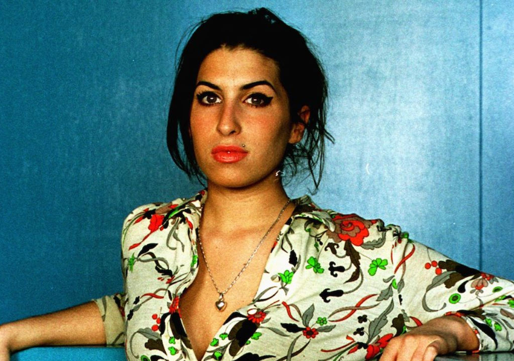 Amy Winehouse Wig