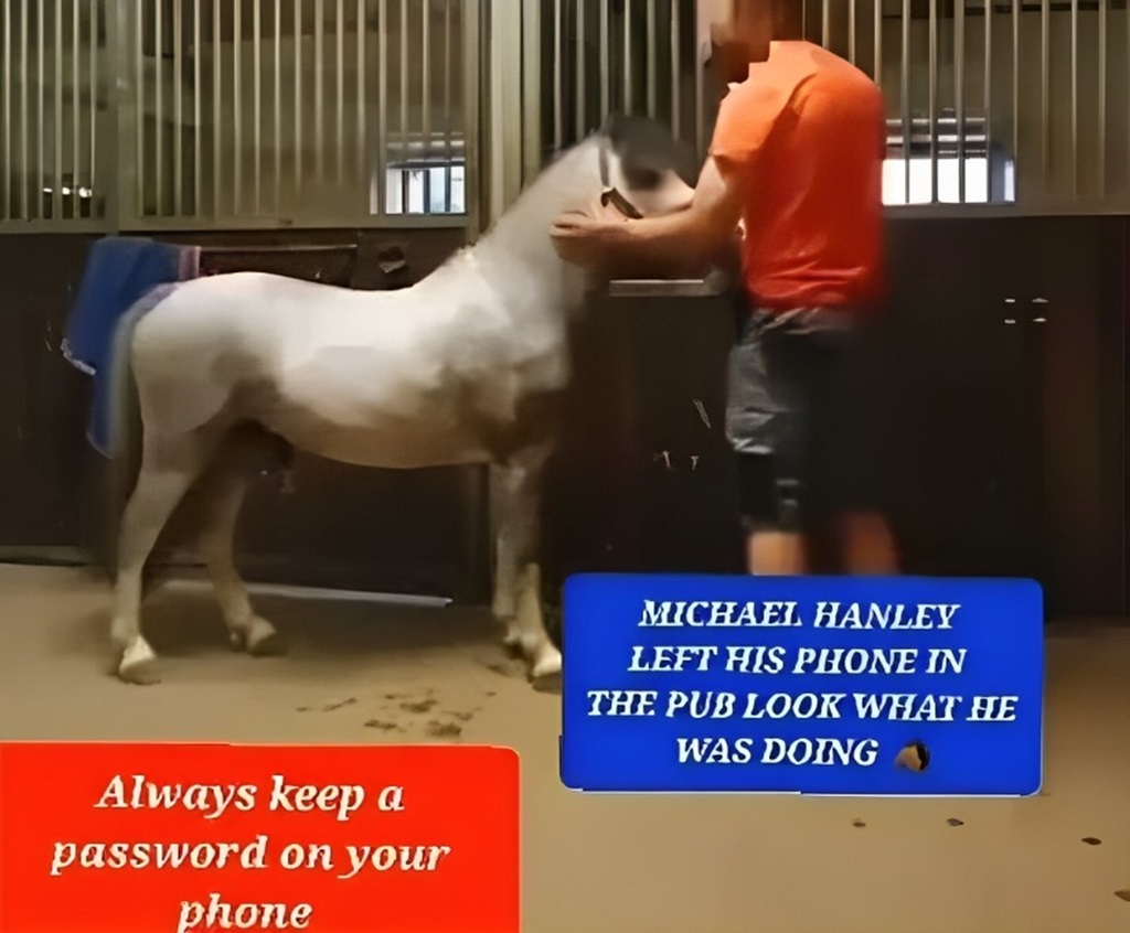 Michael Hanley Mr Hands Orange Shirt Man And Horse 
