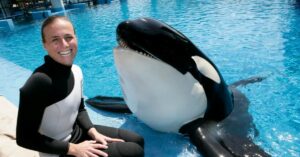 Controversy Surrounds Alleged Leaked Video of Dawn Brancheau Tragic